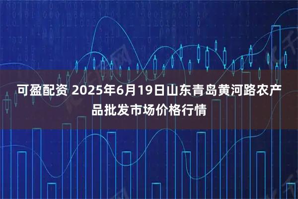 可盈配资 2025年6月19日山东青岛黄河路农产品批发市场价格行情