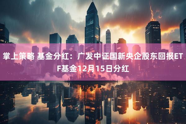 掌上策略 基金分红：广发中证国新央企股东回报ETF基金12月15日分红